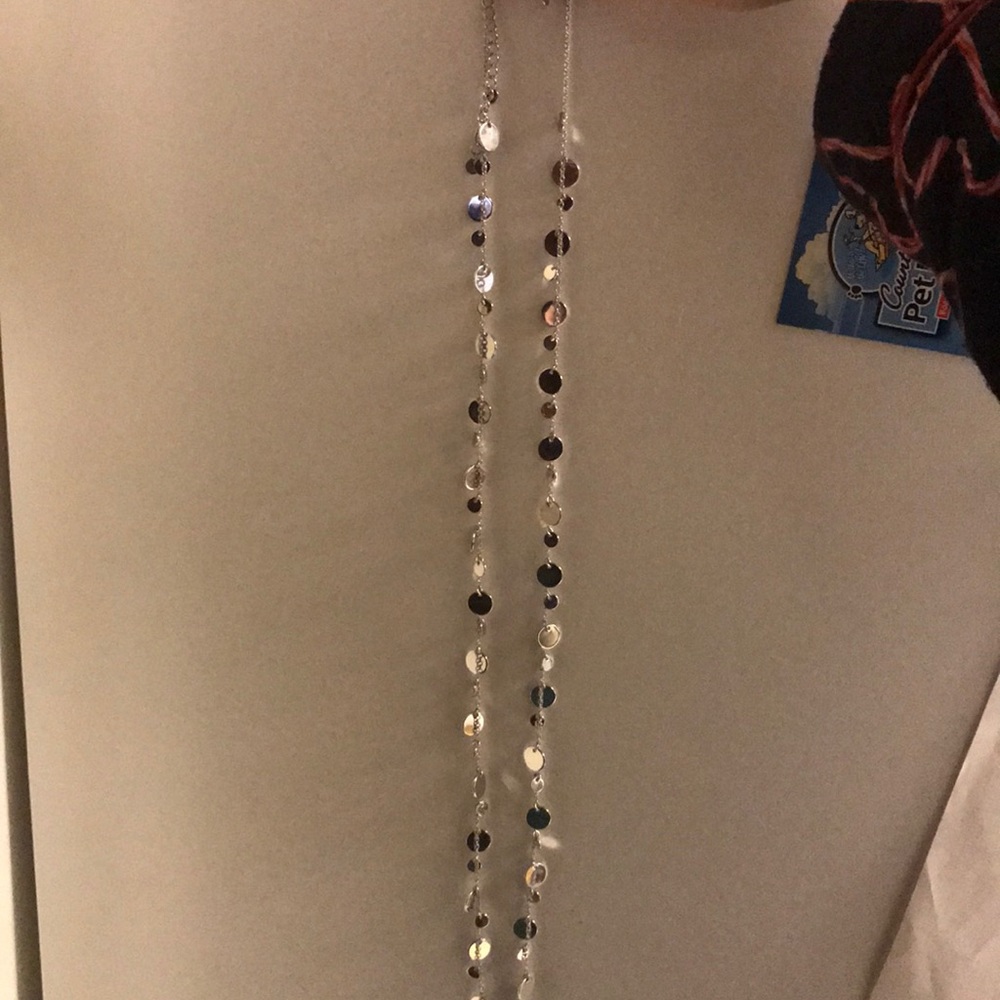 “Panorama” silver necklace.